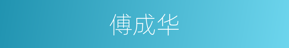 傅成华的同义词
