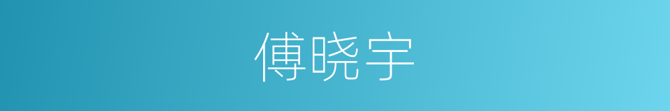 傅晓宇的同义词