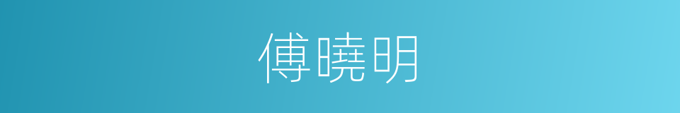 傅曉明的同義詞