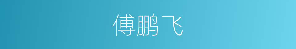 傅鹏飞的同义词