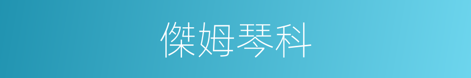 傑姆琴科的同義詞