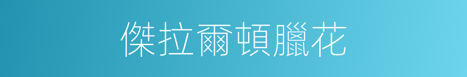 傑拉爾頓臘花的同義詞