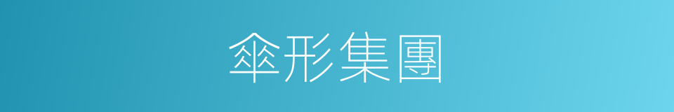 傘形集團的同義詞