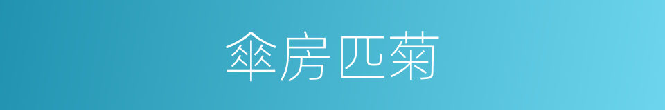 傘房匹菊的同義詞