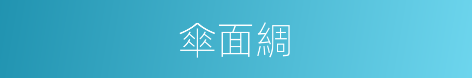 傘面綢的同義詞