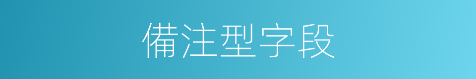 備注型字段的同義詞
