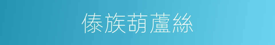 傣族葫蘆絲的同義詞