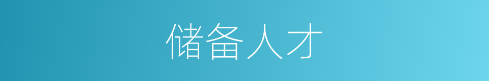 储备人才的同义词