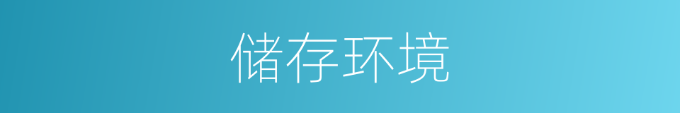 储存环境的同义词