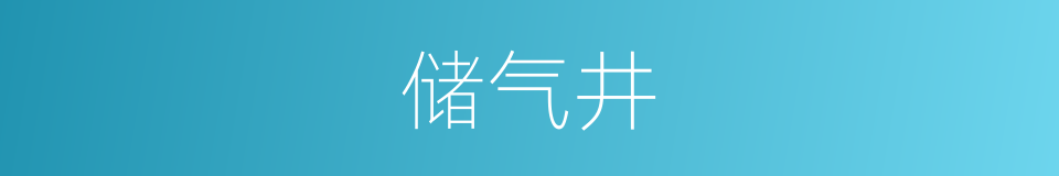 储气井的同义词