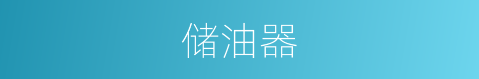 储油器的同义词