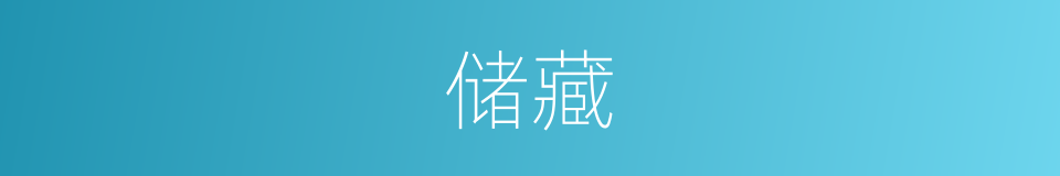 储藏的意思