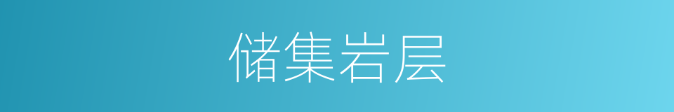 储集岩层的同义词