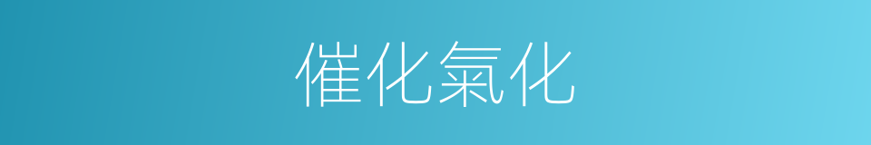 催化氣化的同義詞