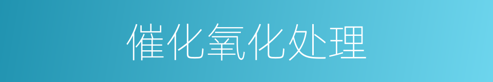 催化氧化处理的同义词