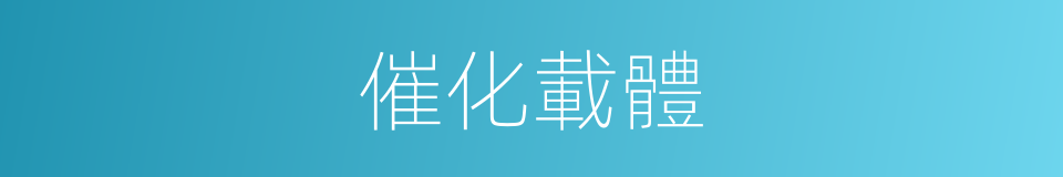 催化載體的同義詞