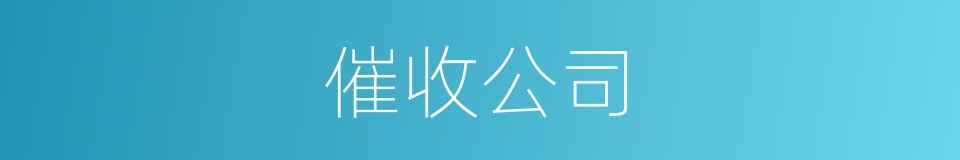 催收公司的同义词