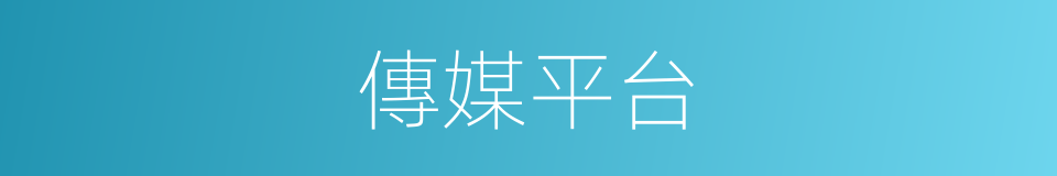 傳媒平台的同義詞
