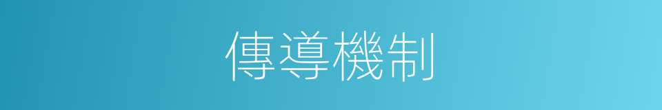 傳導機制的同義詞