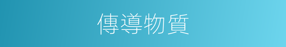 傳導物質的同義詞
