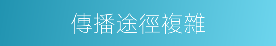 傳播途徑複雜的同義詞
