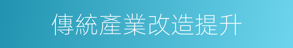 傳統產業改造提升的同義詞