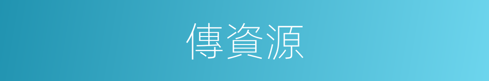 傳資源的同義詞