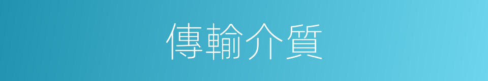 傳輸介質的意思