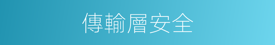 傳輸層安全的同義詞