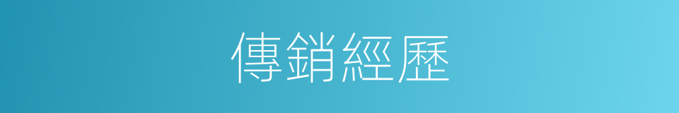 傳銷經歷的同義詞