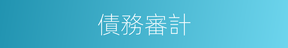 債務審計的同義詞