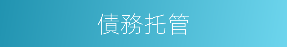 債務托管的同義詞