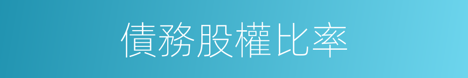 債務股權比率的同義詞