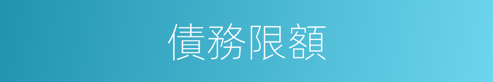 債務限額的同義詞