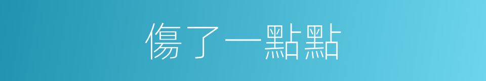 傷了一點點的同義詞
