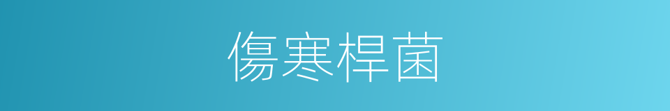 傷寒桿菌的同義詞