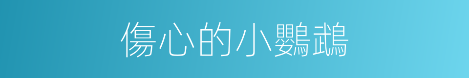 傷心的小鸚鵡的同義詞