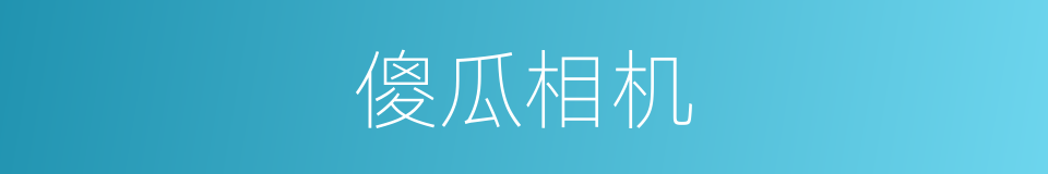 傻瓜相机的意思