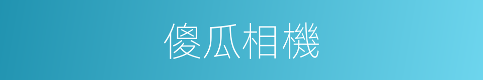 傻瓜相機的意思