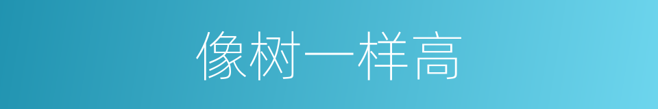像树一样高的同义词