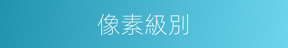 像素級別的同義詞