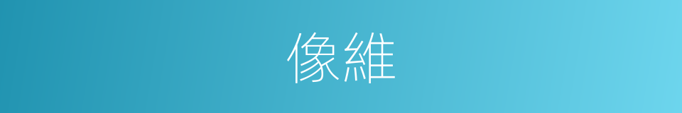 像維的同義詞