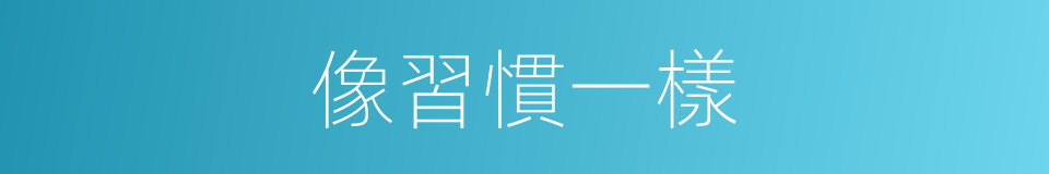 像習慣一樣的同義詞
