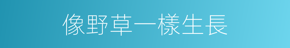 像野草一樣生長的同義詞
