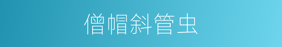 僧帽斜管虫的同义词