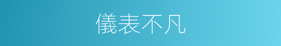 儀表不凡的意思