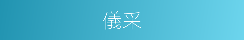 儀采的意思