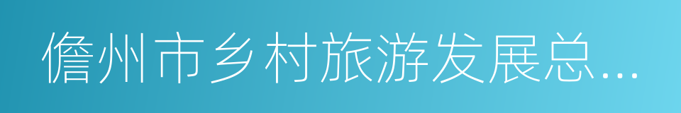 儋州市乡村旅游发展总体规划文本的同义词