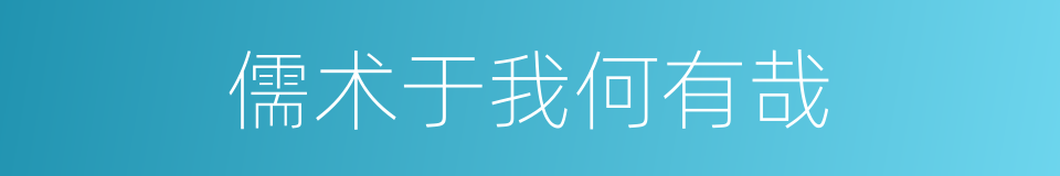 儒术于我何有哉的同义词