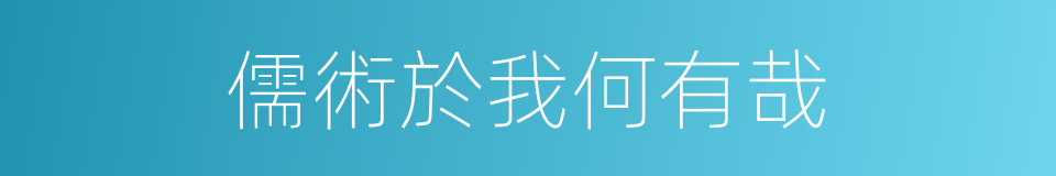 儒術於我何有哉的同義詞